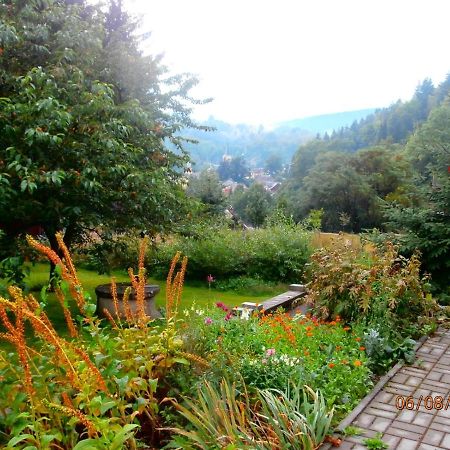Apartman Aya Janov nad Nisou Εξωτερικό φωτογραφία