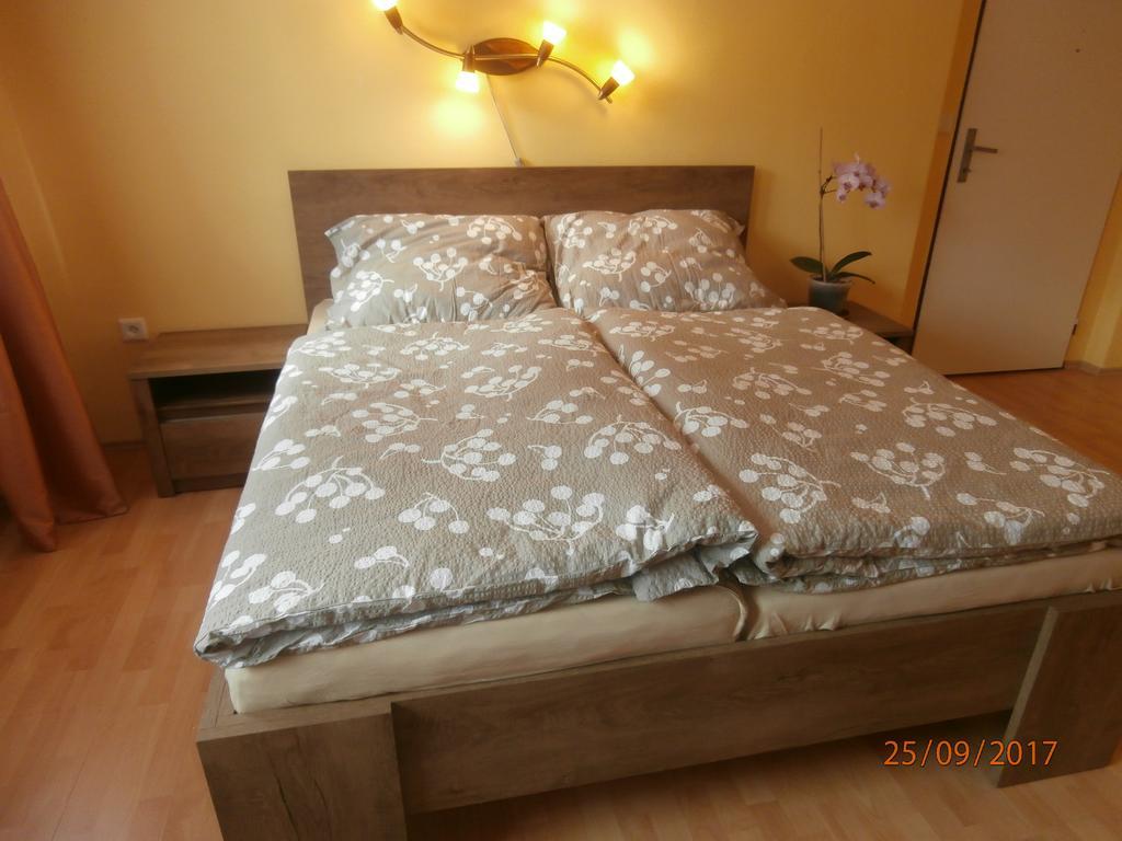 Apartman Aya Janov nad Nisou Εξωτερικό φωτογραφία